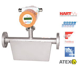 德国Heinrichs科里奥利质量流量计TMU