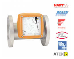 德国Heinrichs全金属转子流量计BGF